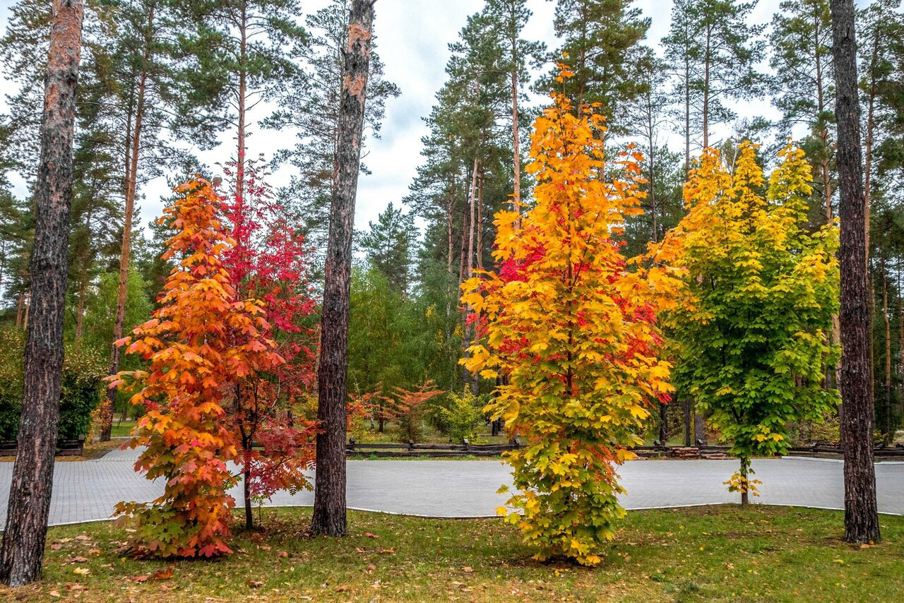 Гостиница В некотором царстве Поляны-48