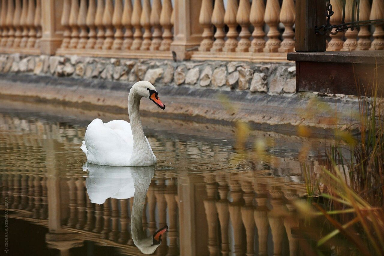 Гостиница В некотором царстве Поляны-64