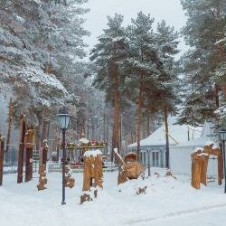 Гостиница В некотором царстве Поляны-232