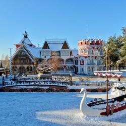 Гостиница В некотором царстве Поляны-113