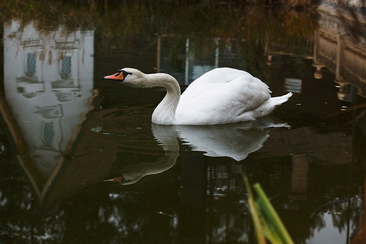 Гостиница В некотором царстве Поляны-224