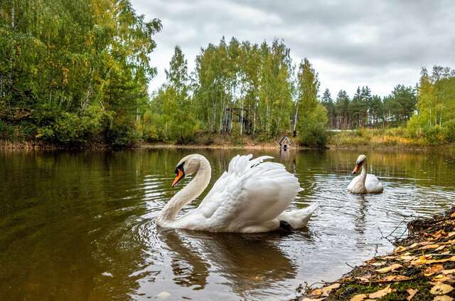 Гостиница В некотором царстве Поляны-164