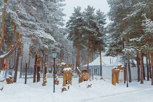 Гостиница В некотором царстве Поляны-248