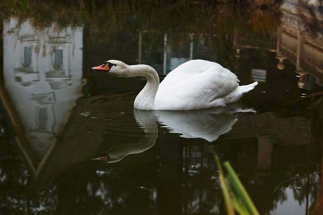Гостиница В некотором царстве Поляны-223